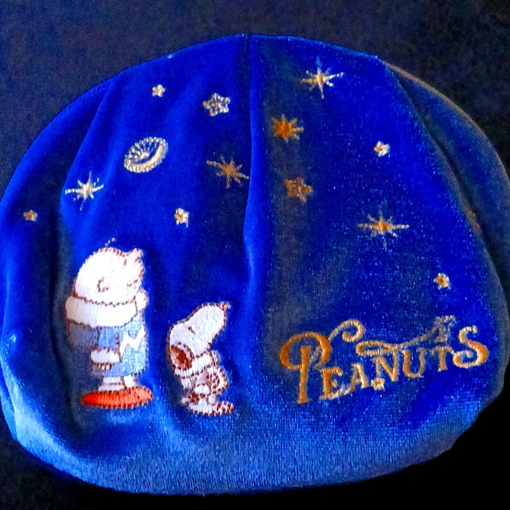 Peanuts pouch